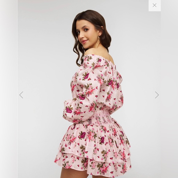 LoveShackFancy Netra mini dress Sz XS - Picture 2 of 8